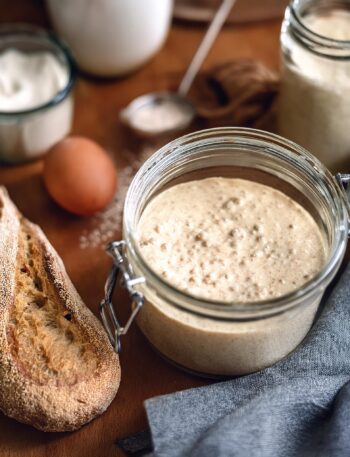 Sourdough Starter Recipe – Easy and Homemade